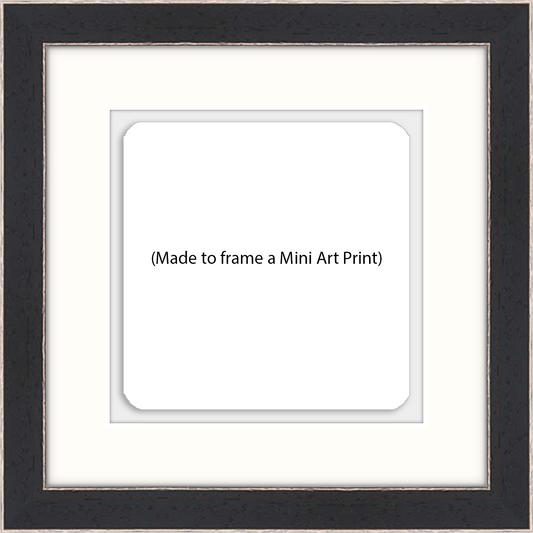Frame Subscription