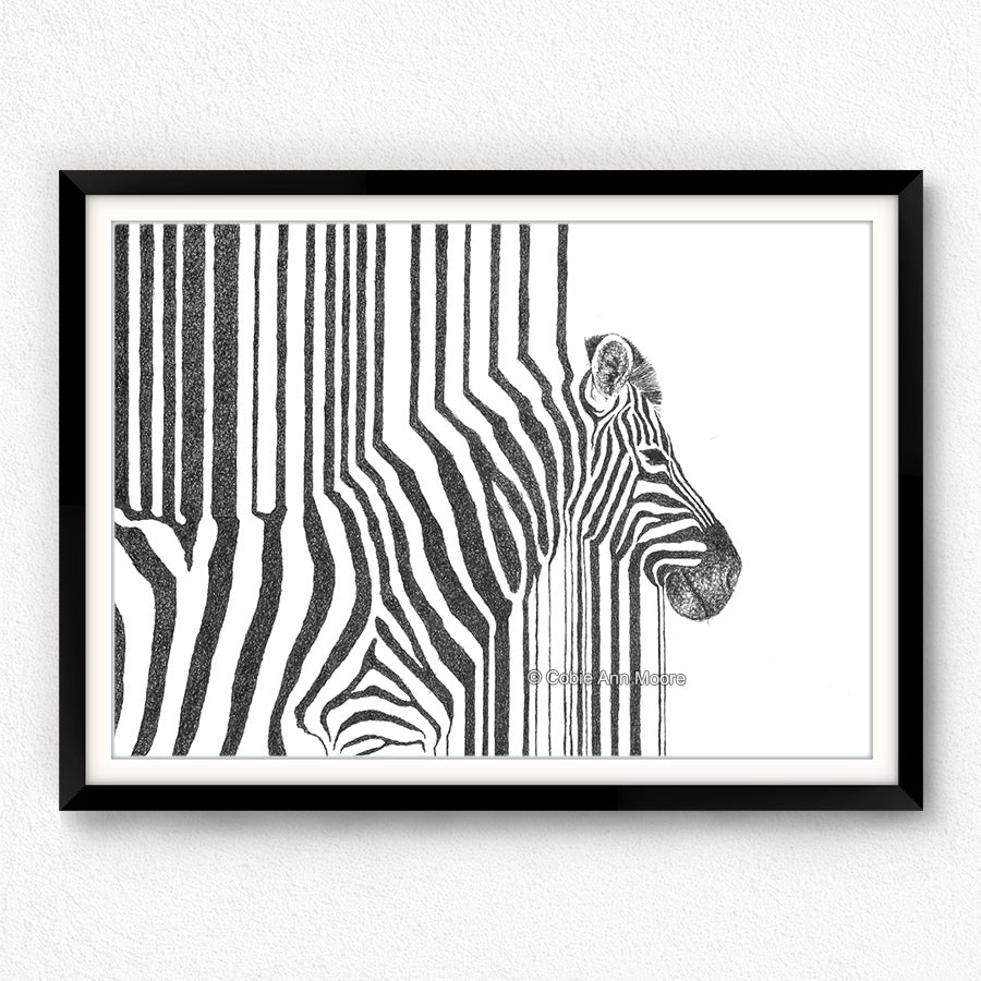 Zebra Stripes