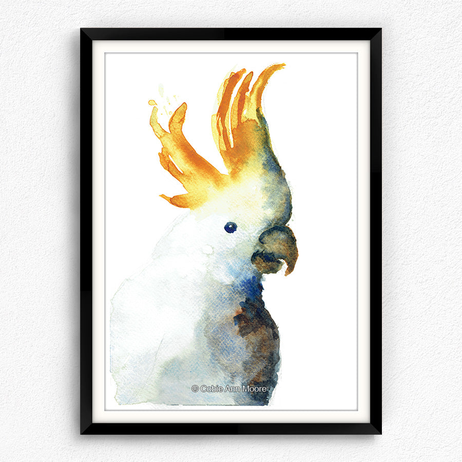 Cockatoo