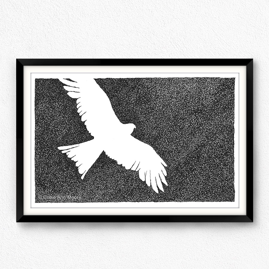 Absence of an Eagle