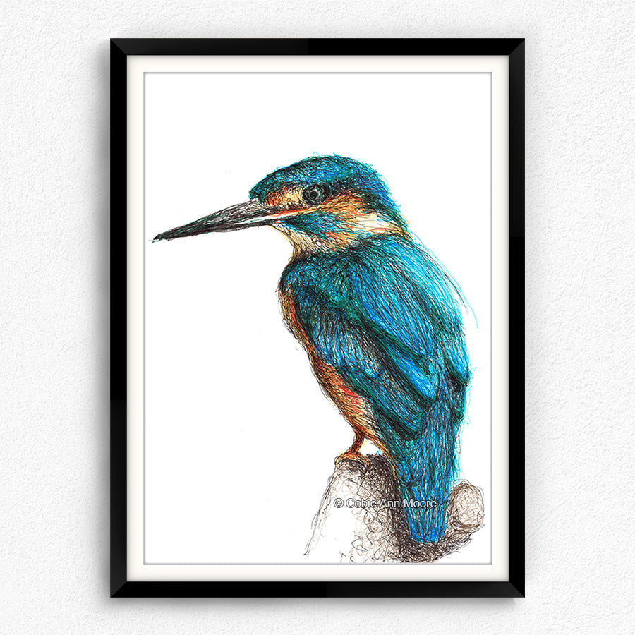 Kingfisher