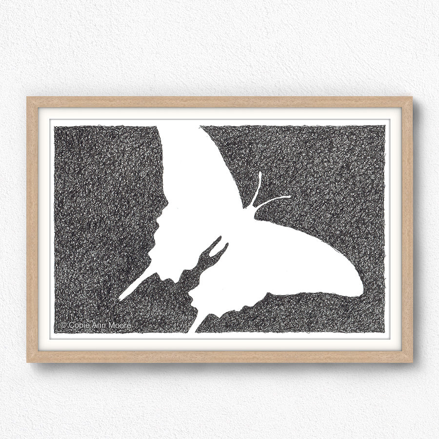 Absence of a Butterfly