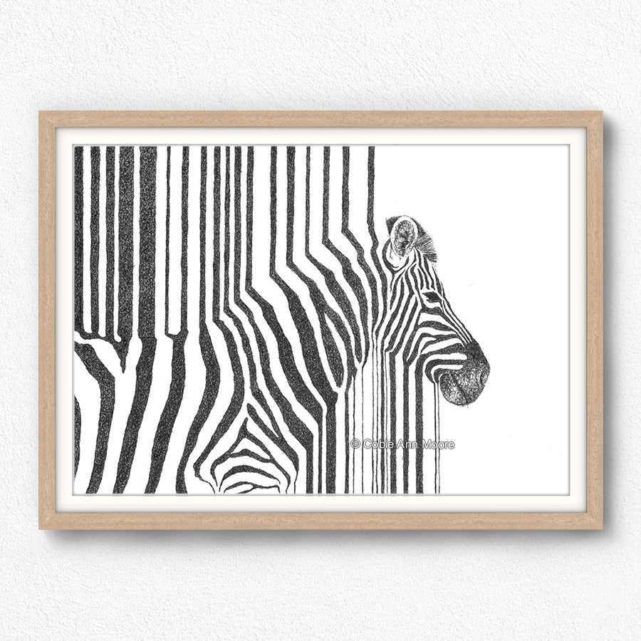 Zebra Stripes
