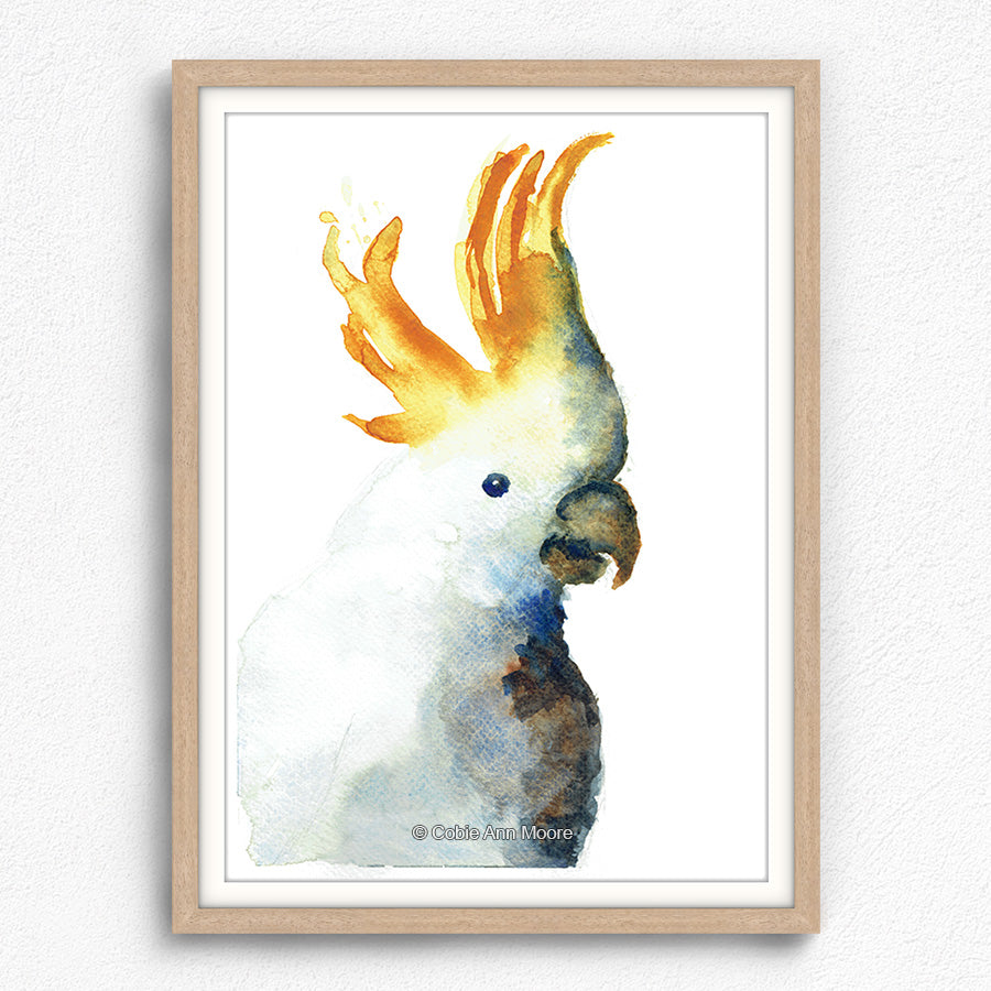 Cockatoo