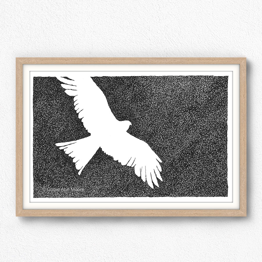 Absence of an Eagle