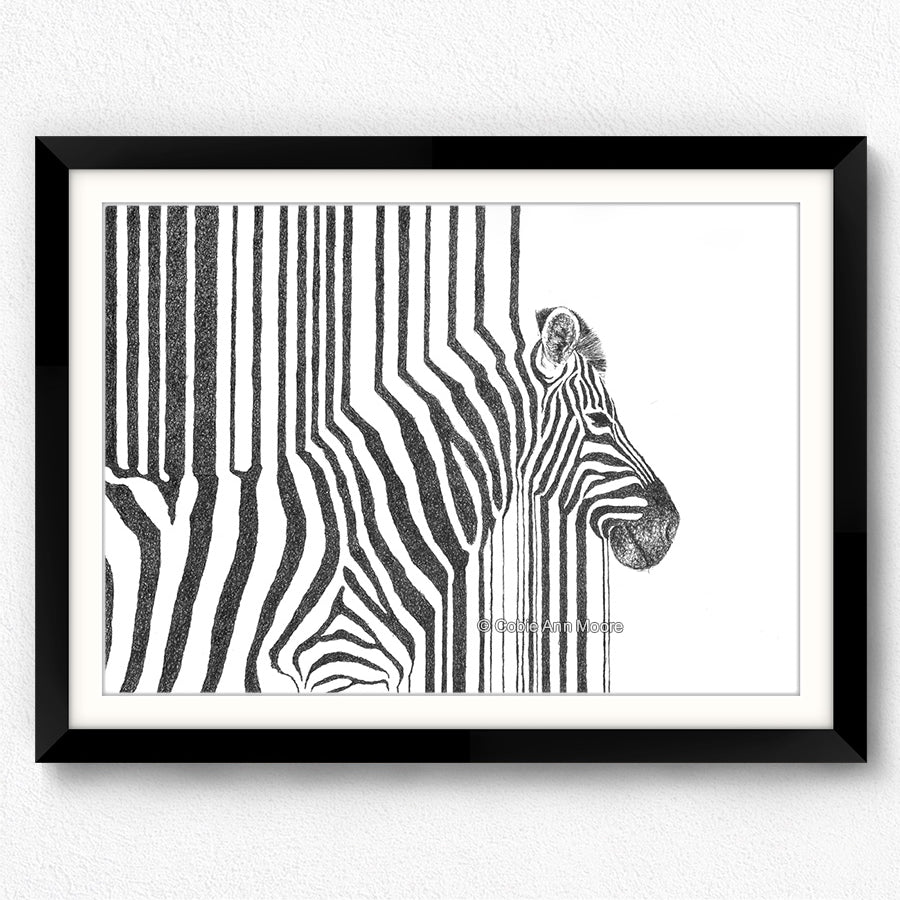 Zebra Stripes