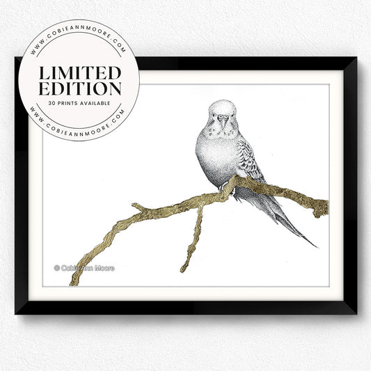 Golden Budgie (Limited Edition)