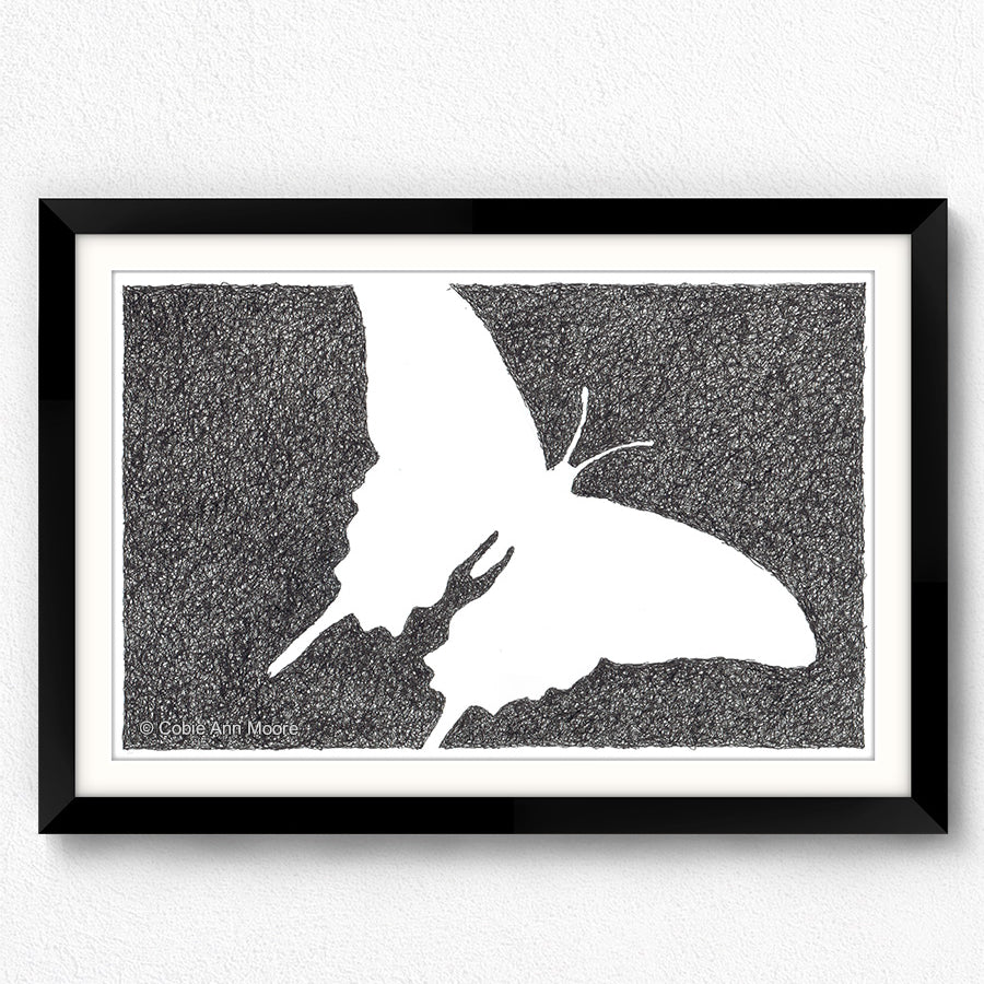 Absence of a Butterfly