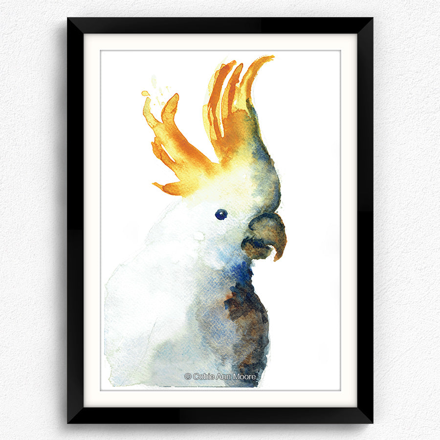 Cockatoo