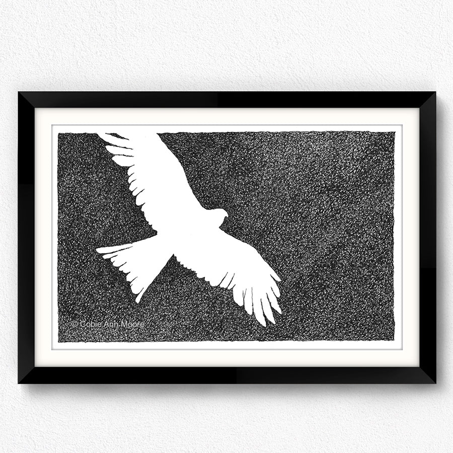 Absence of an Eagle