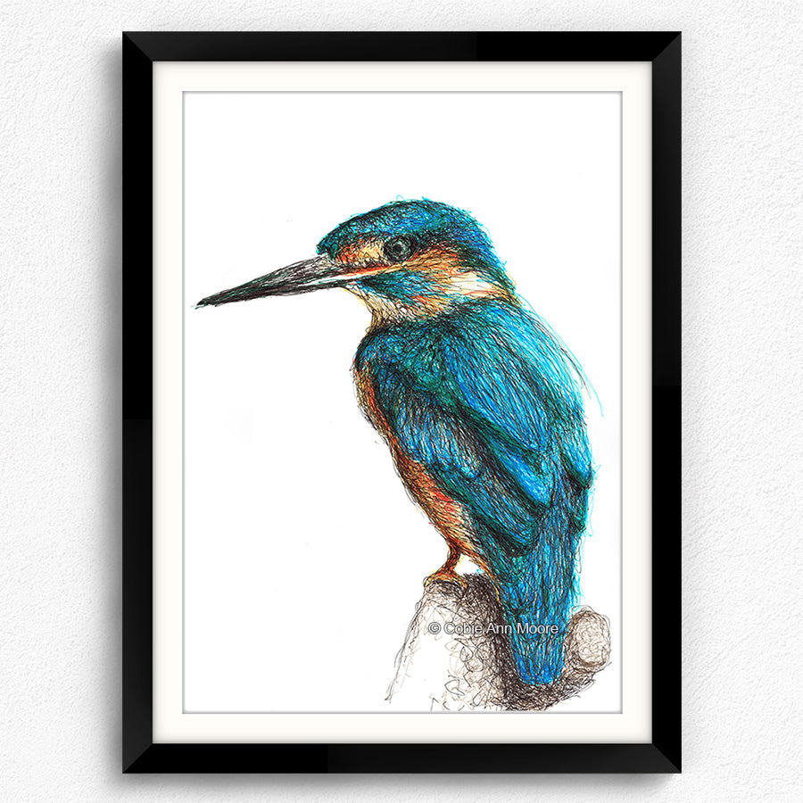 Kingfisher