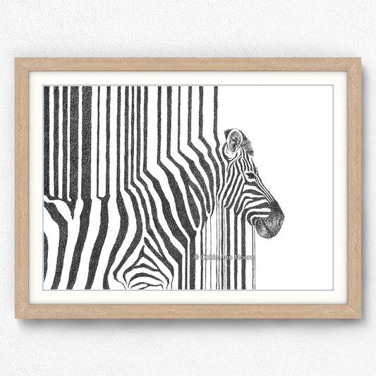 Zebra Stripes