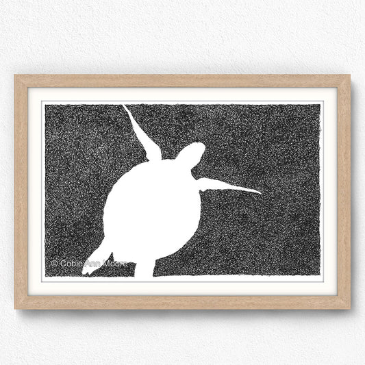 Absence of a Turtle