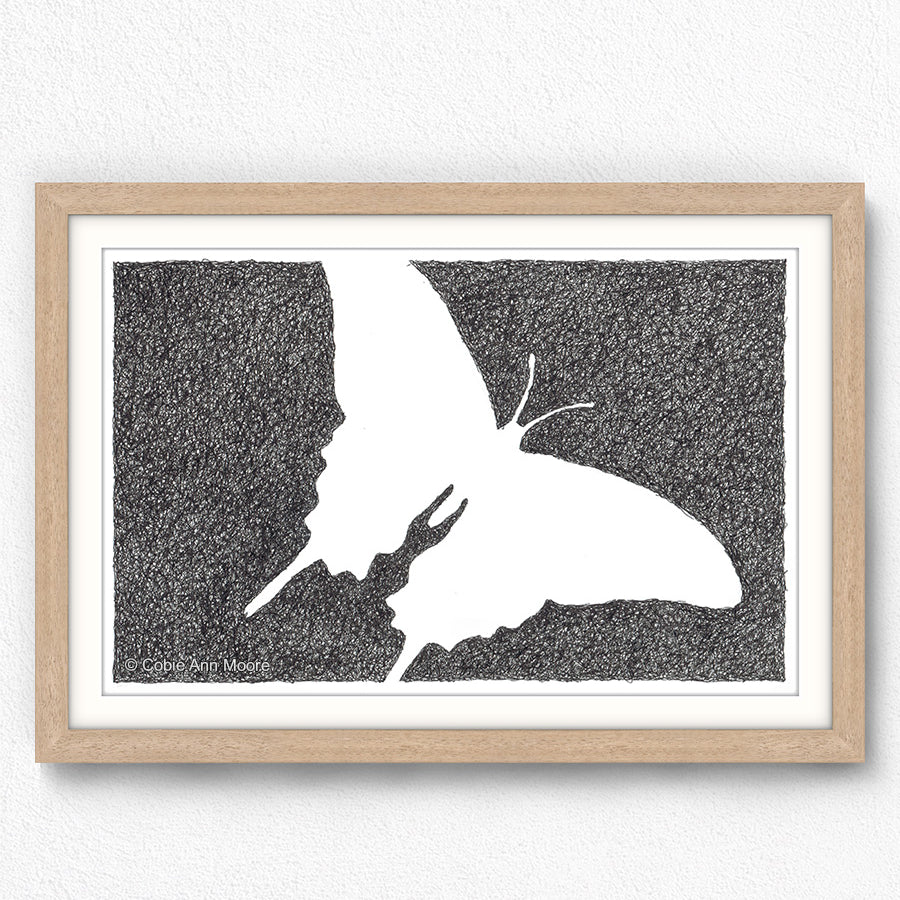 Absence of a Butterfly
