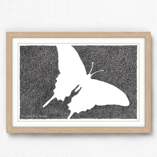 Absence of a Butterfly
