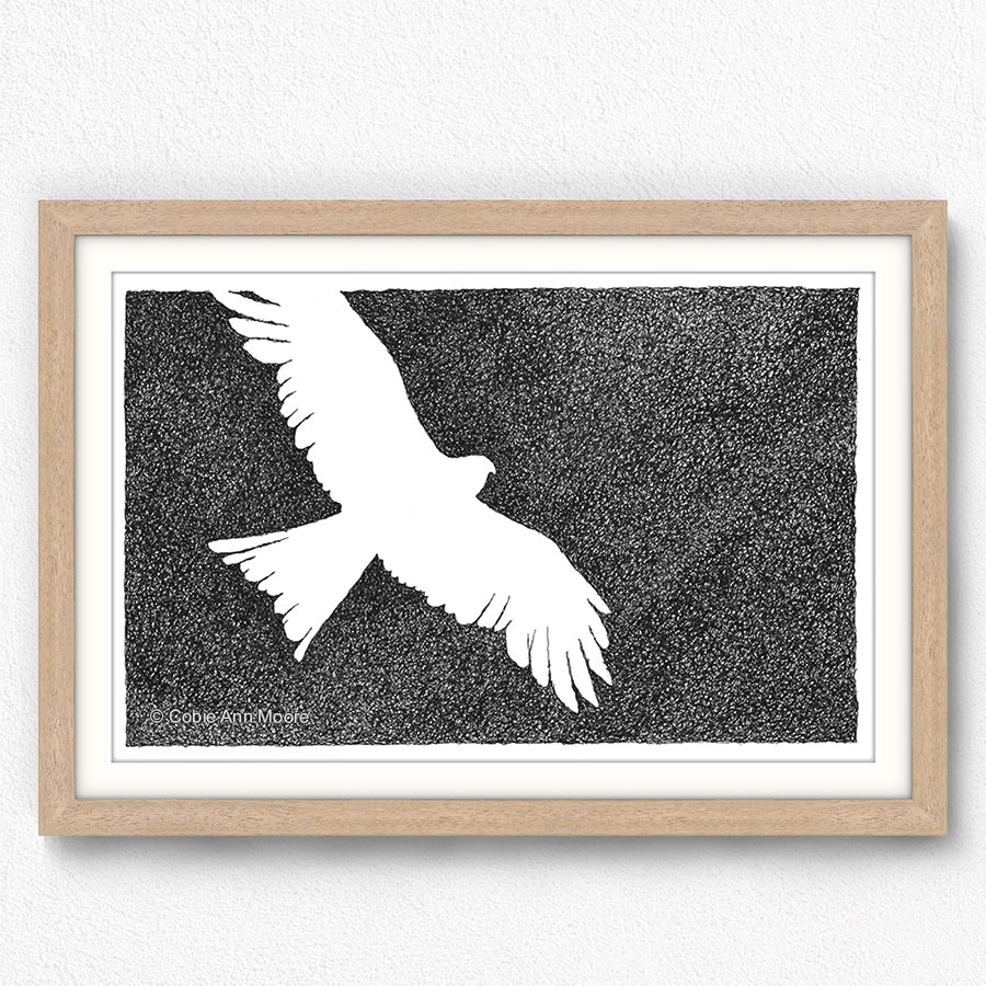 Absence of an Eagle