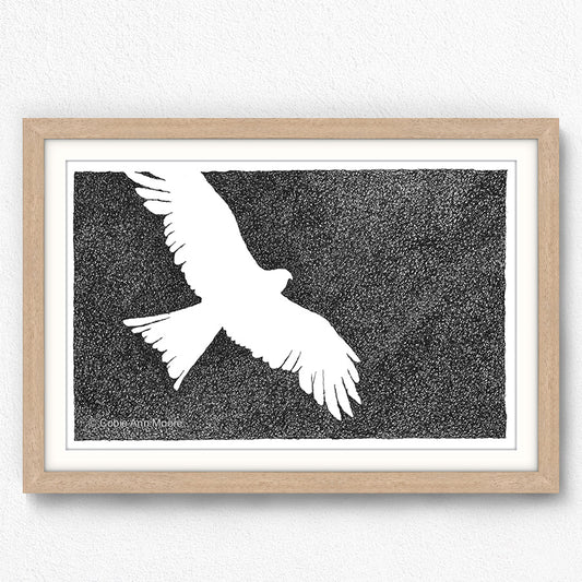 Absence of an Eagle