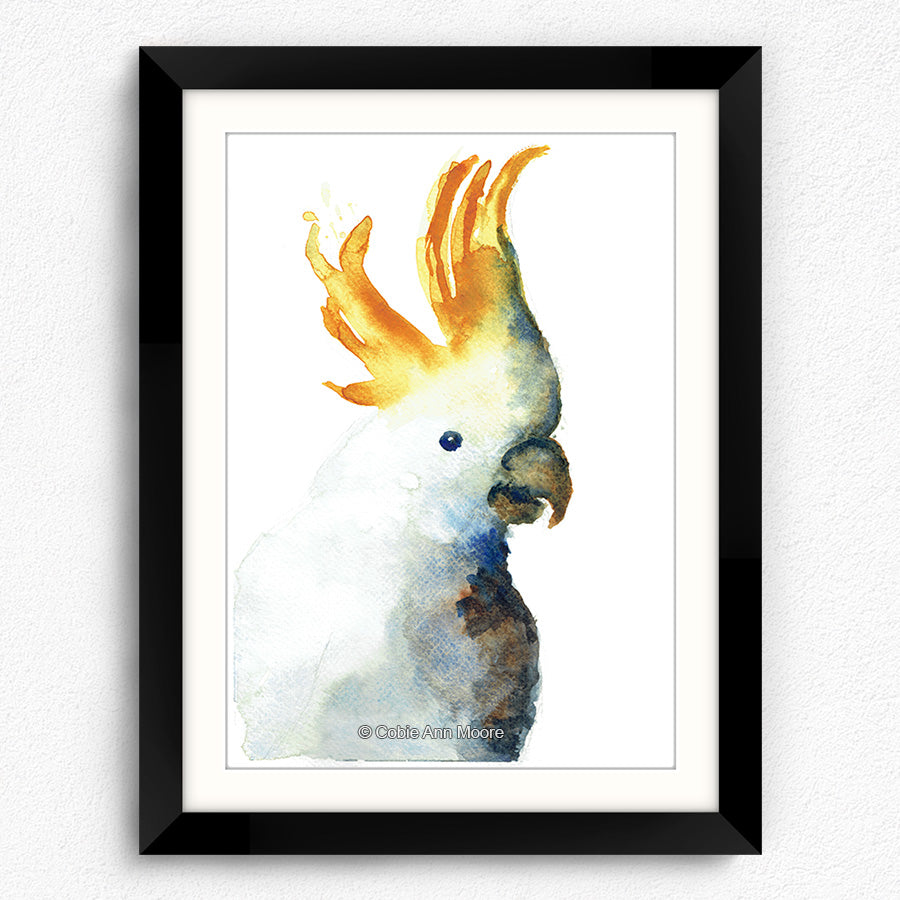 Cockatoo
