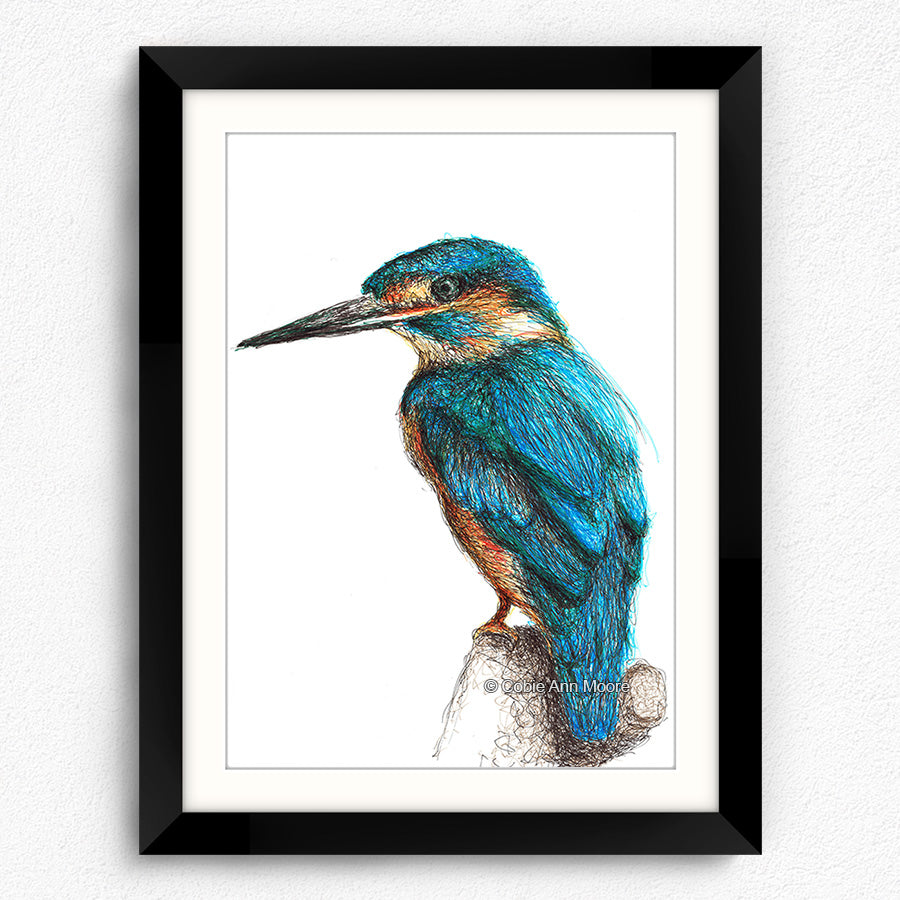 Kingfisher