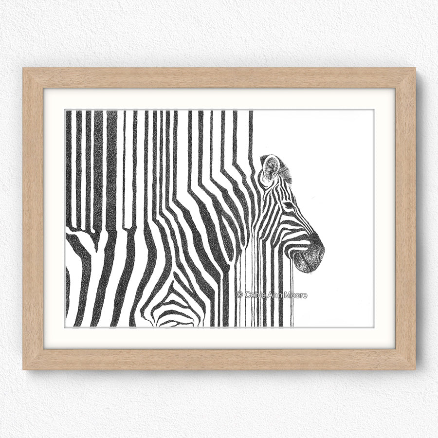 Zebra Stripes
