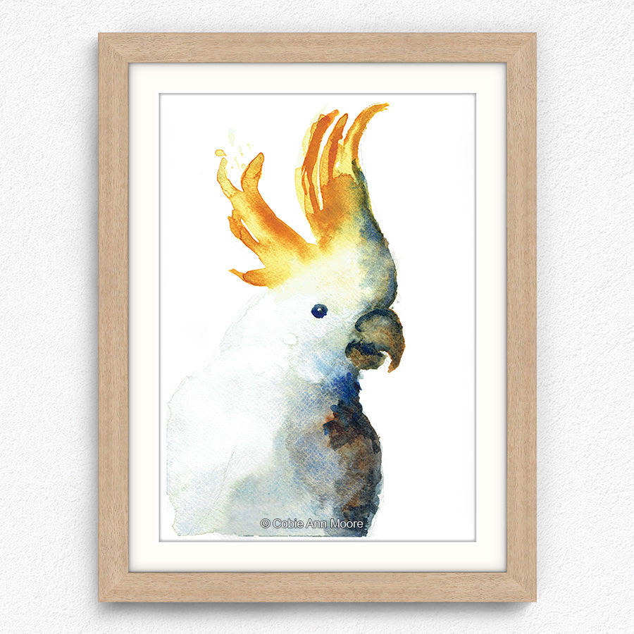 Cockatoo