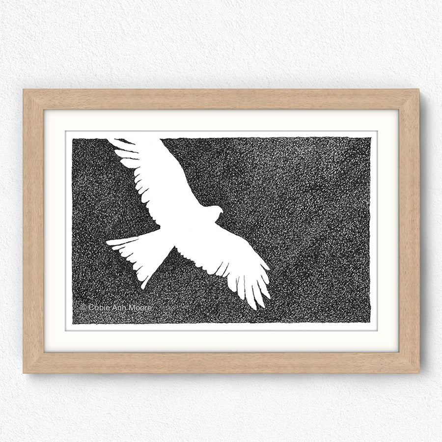 Absence of an Eagle