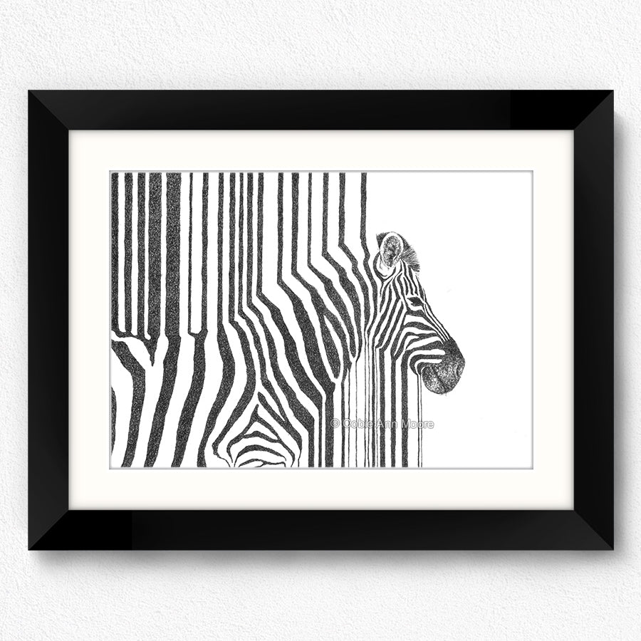 Zebra Stripes