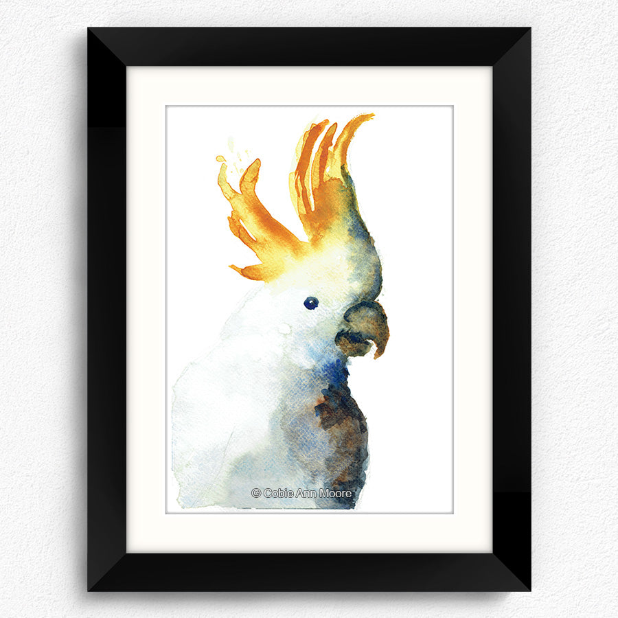 Cockatoo
