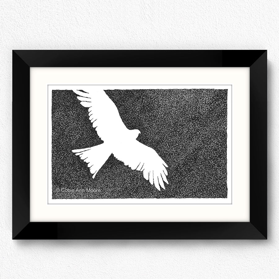 Absence of an Eagle