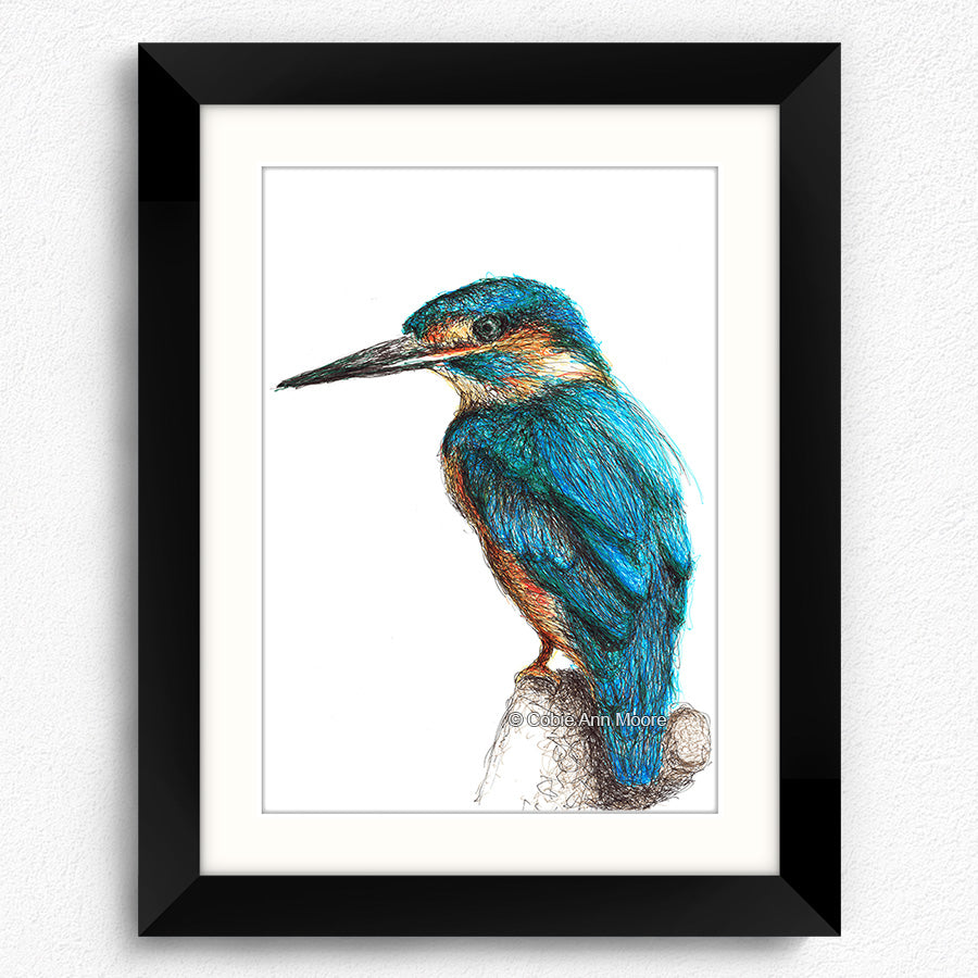 Kingfisher