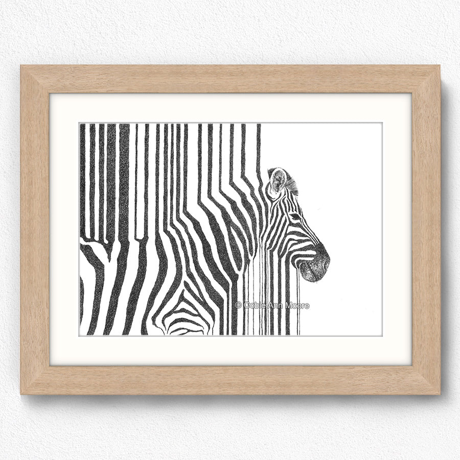Zebra Stripes