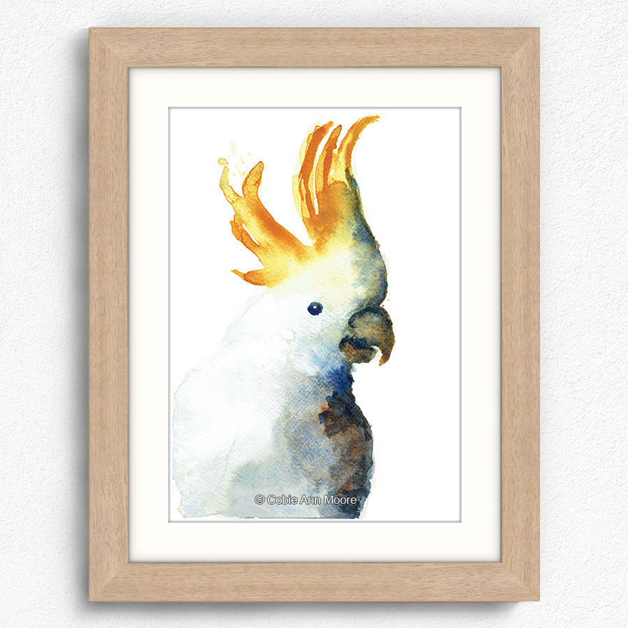 Cockatoo