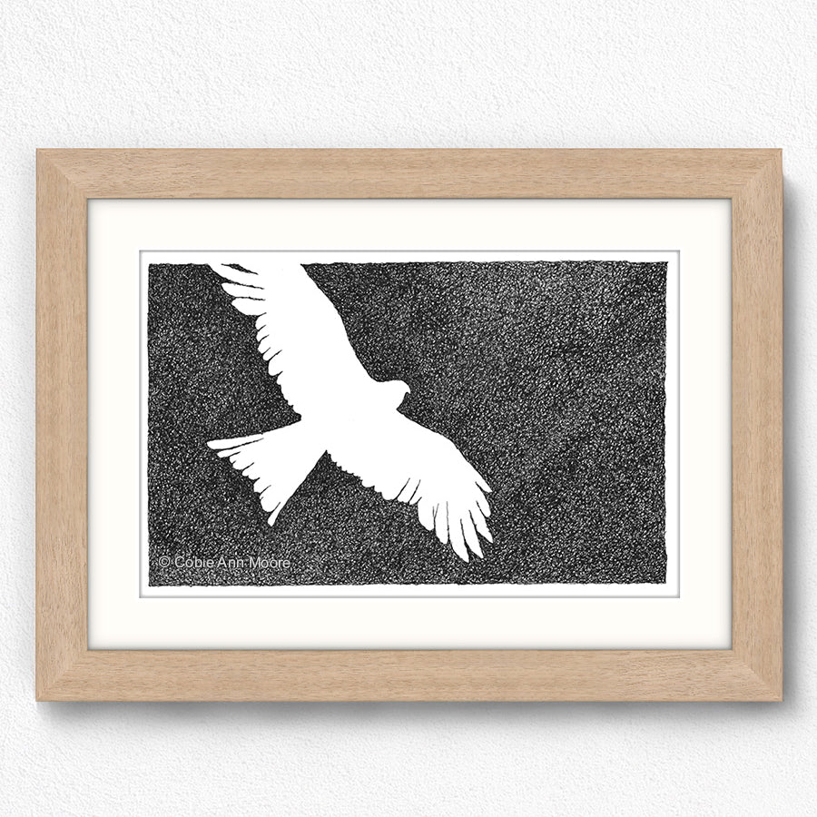 Absence of an Eagle