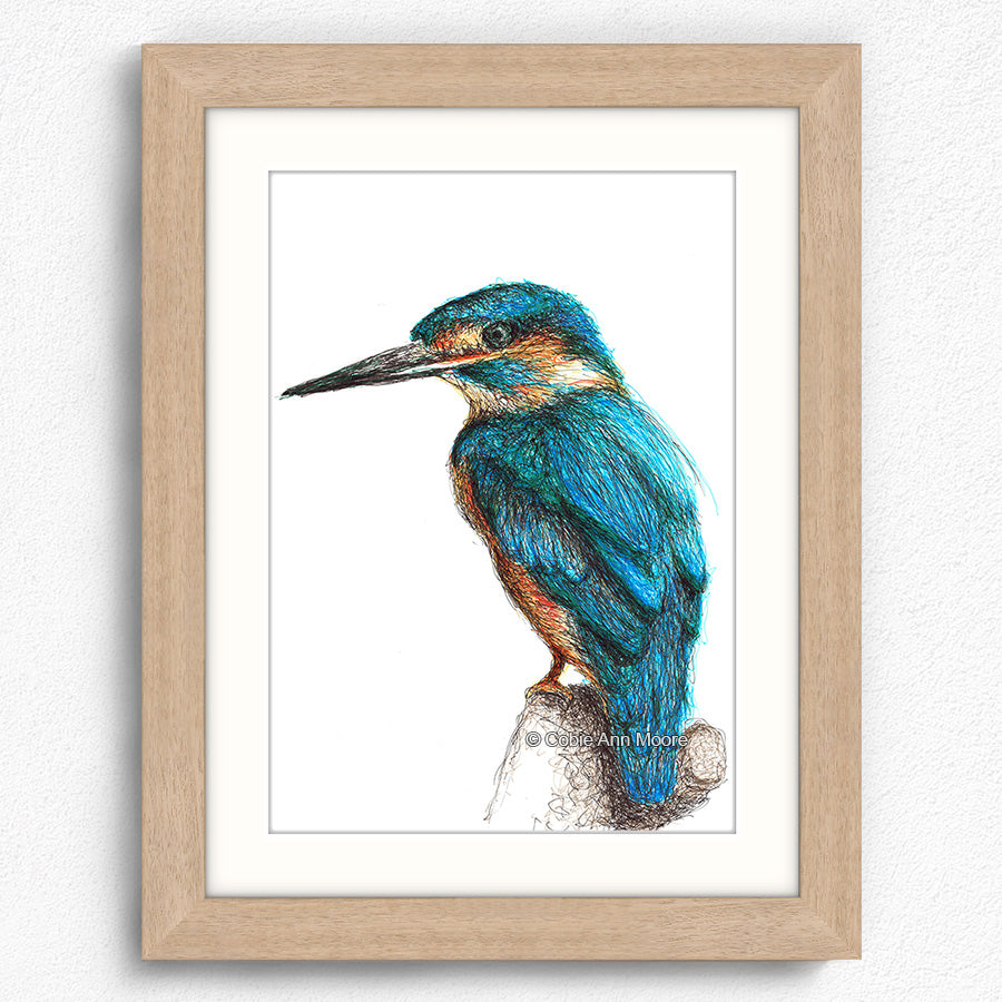 Kingfisher