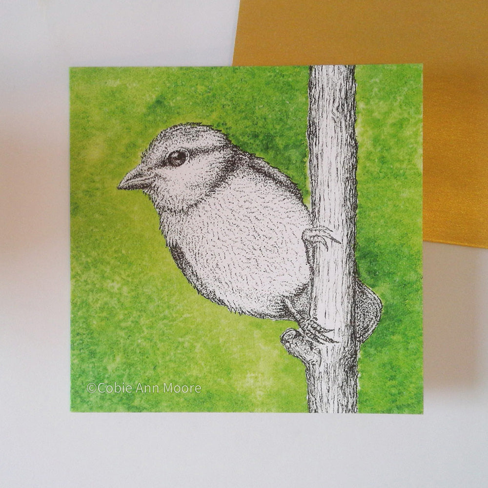 Blue Tit (Cards)