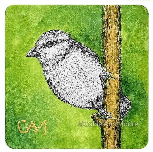 Blue Tit (Mini Print)