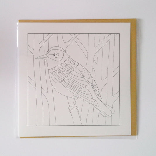 Warbler (Colour-In)
