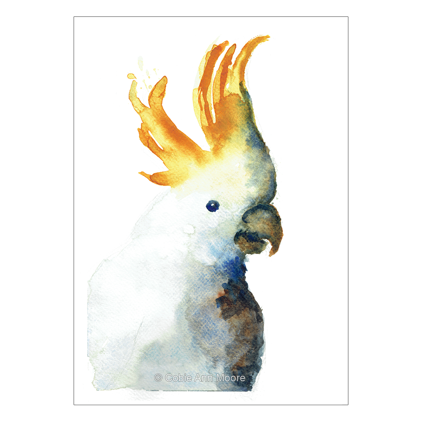 Cockatoo