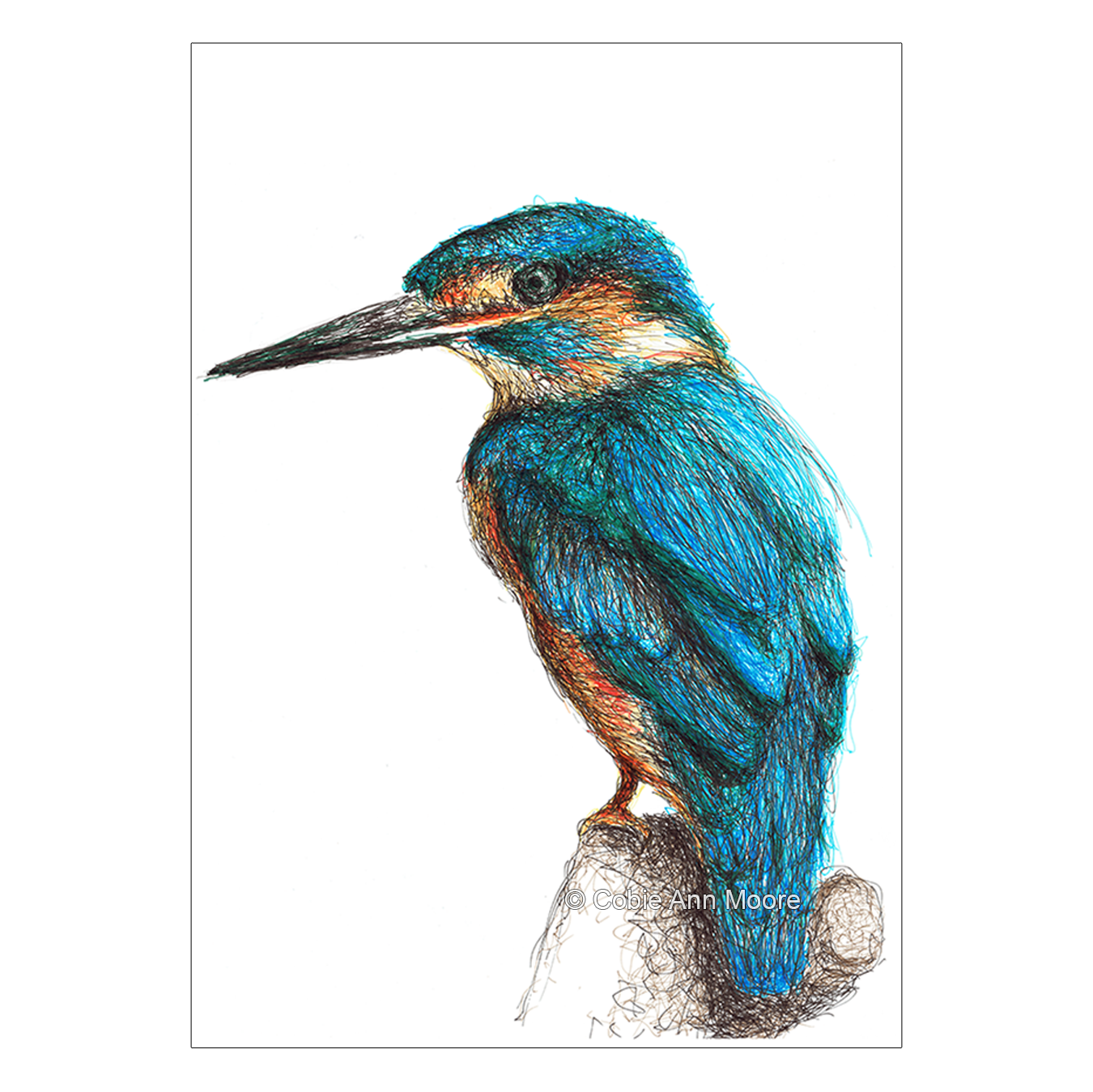 Kingfisher