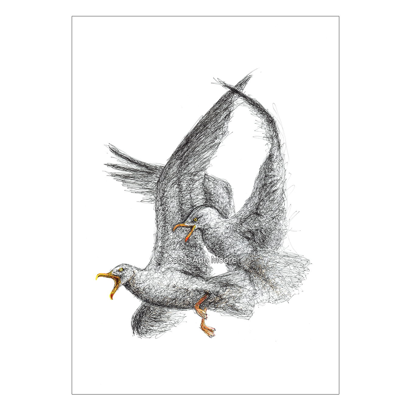 Seagulls
