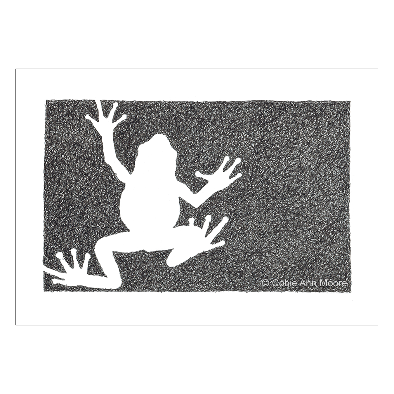 Absence of a Frog