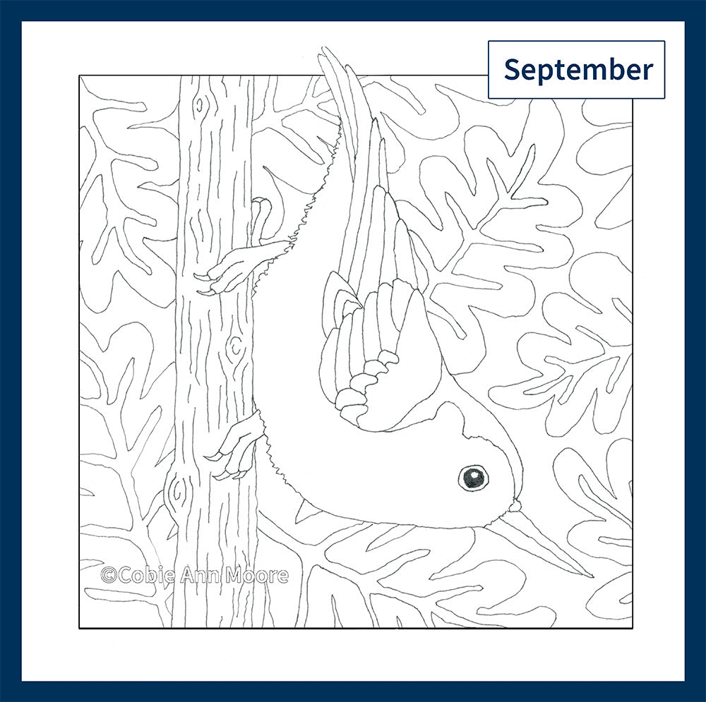 Greeting Card Club