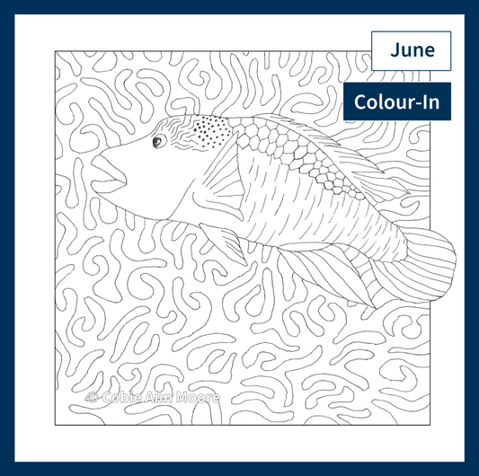 Colour-In Club