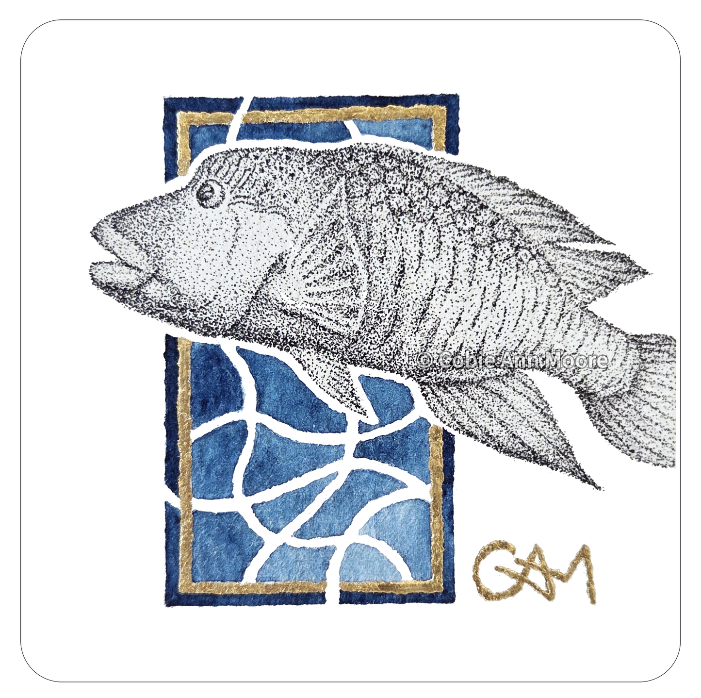 Māori Wrasse (Mini Print)