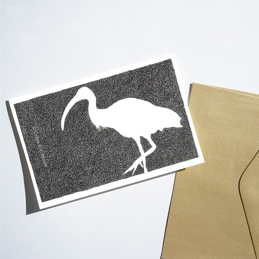 Absence of an Ibis (Cards)