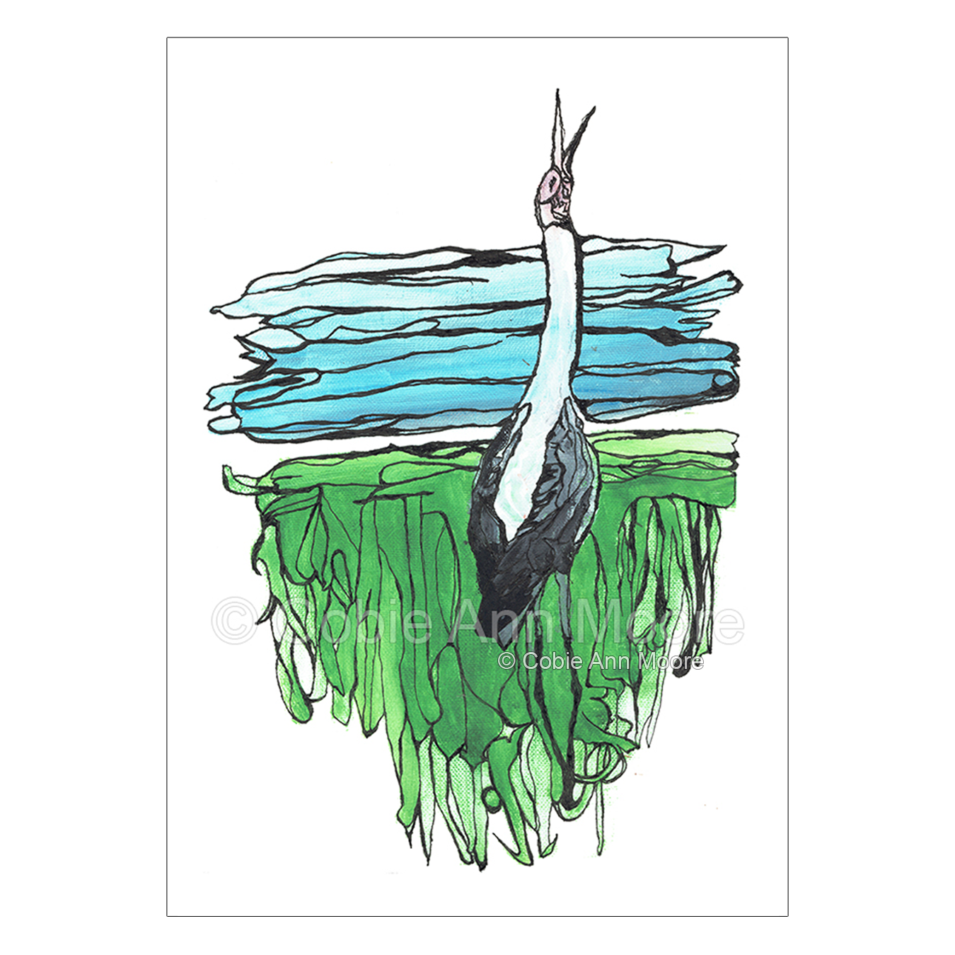 The Lonely Brolga