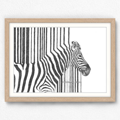 Zebra Stripes