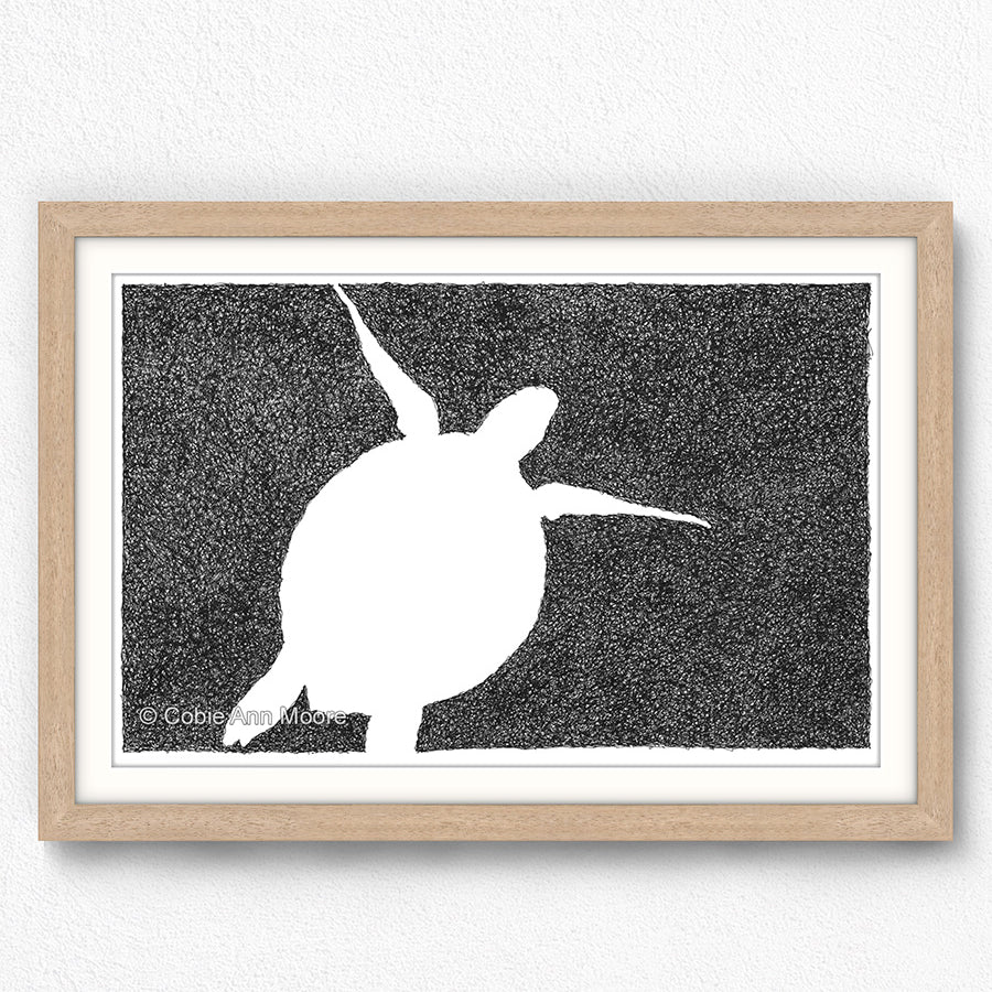 Absence of a Turtle