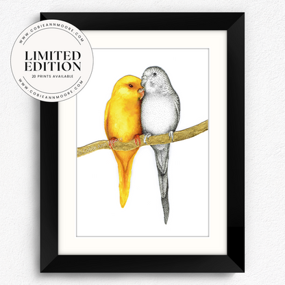 Yellow Budgie (Limited Edition)