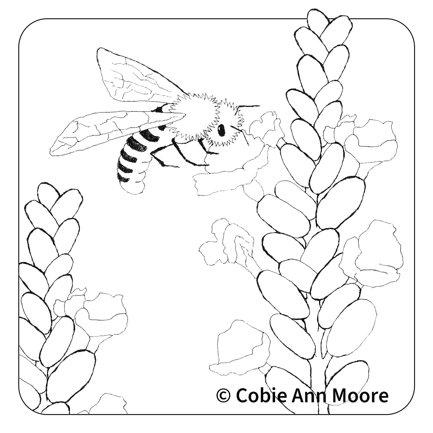 Busy Bee (Colour-In)